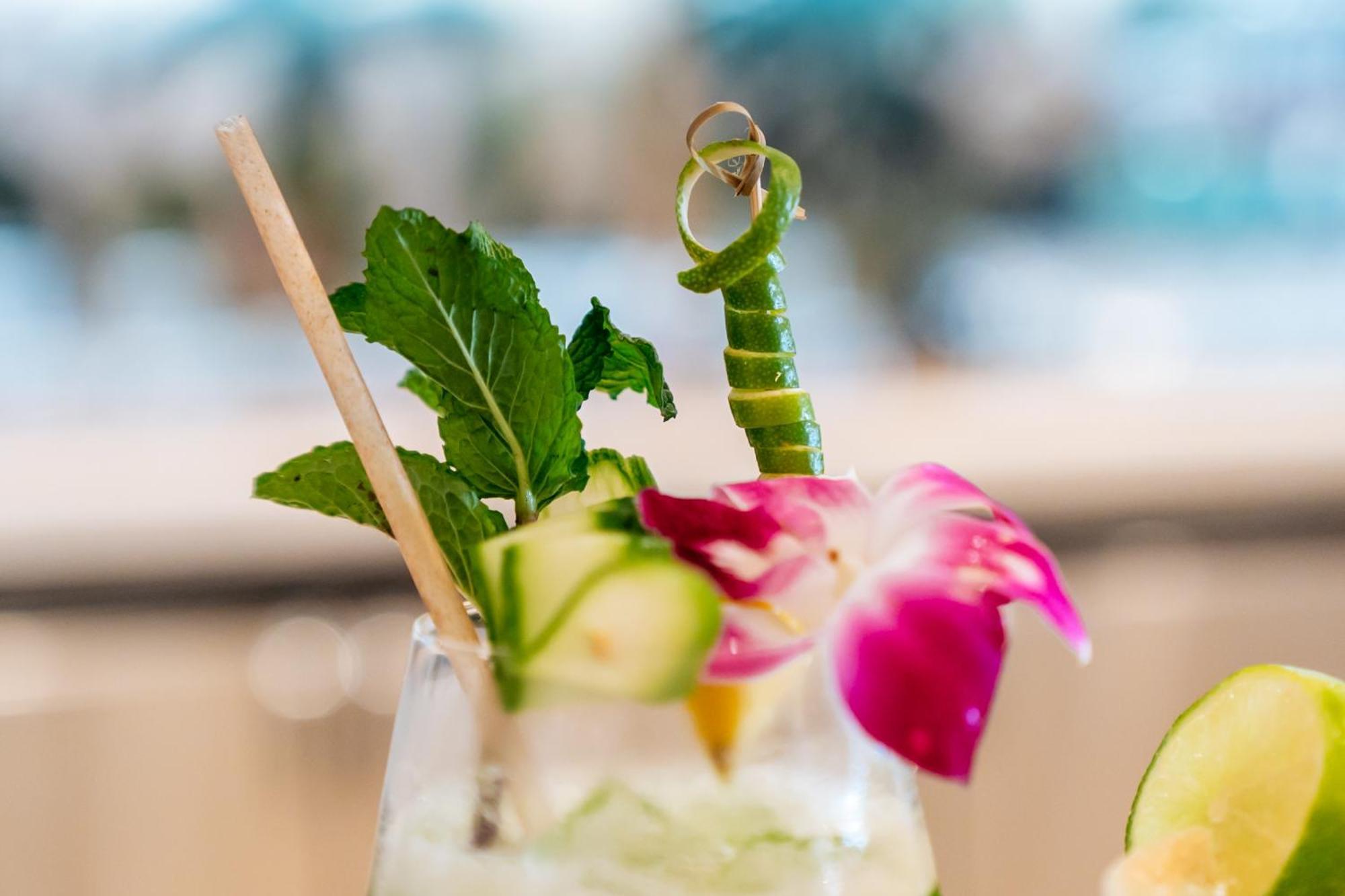 Tideline Palm Beach Ocean Resort And Spa Eksteriør billede
